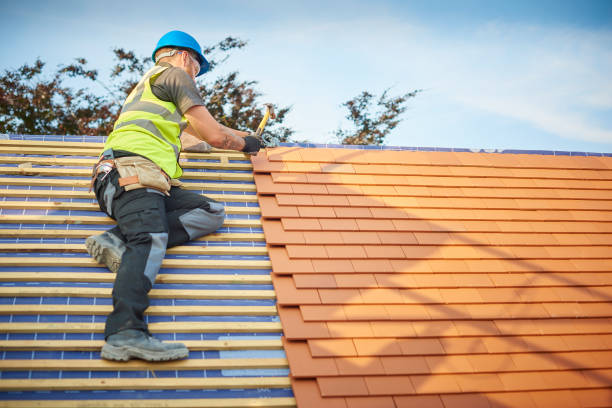 Professional Roofing service in Pleasant View, TN